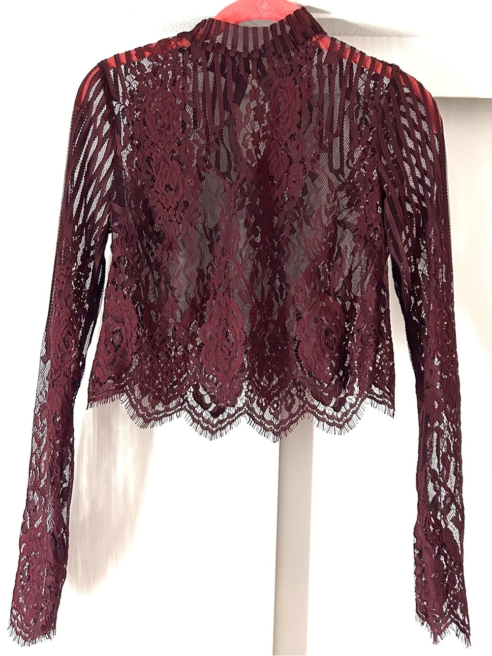 Forever 21 Burgundy Crochet Lace Long-Sleeve Crop Top